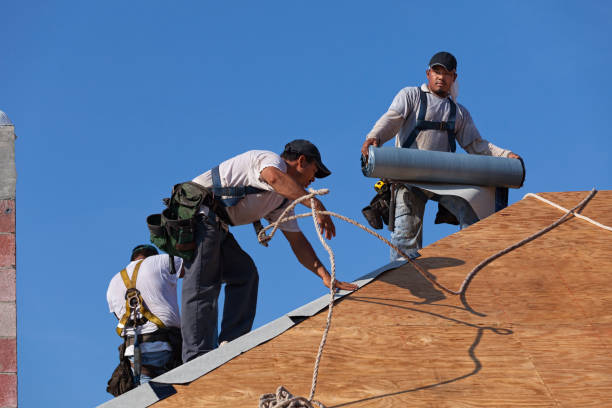 Best Roof Maintenance Services  in Austintown, OH